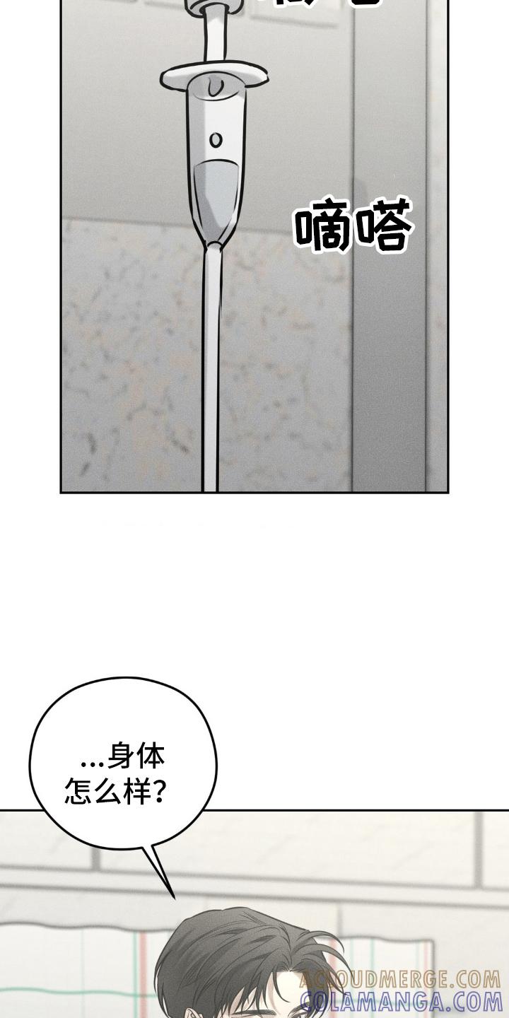 《纯白的假象》第48章：手续 第23页