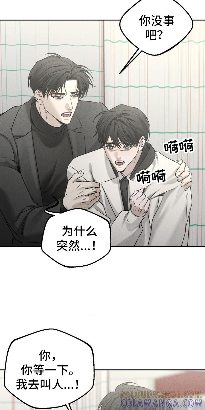 《纯白的假象》第48章：手续 第5页