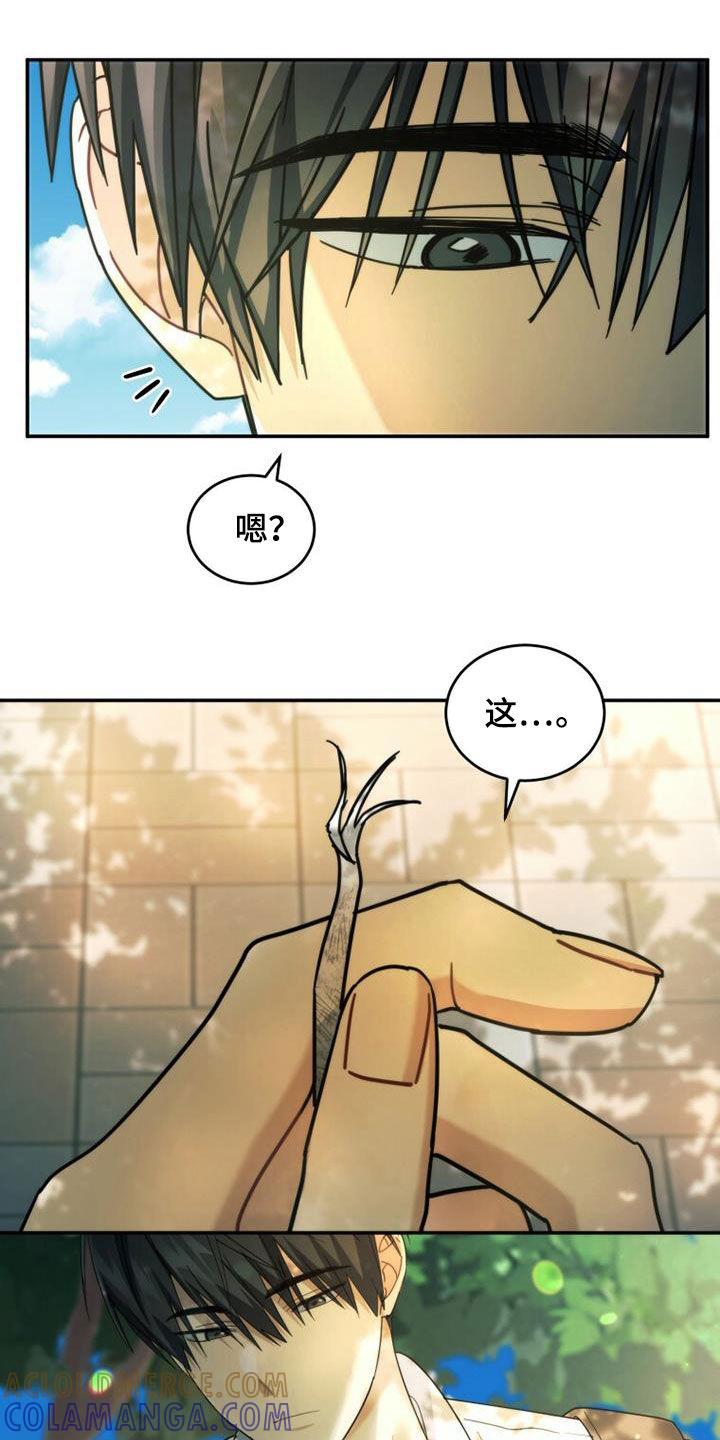 《追逐繁星》第48章：传开了 第11页