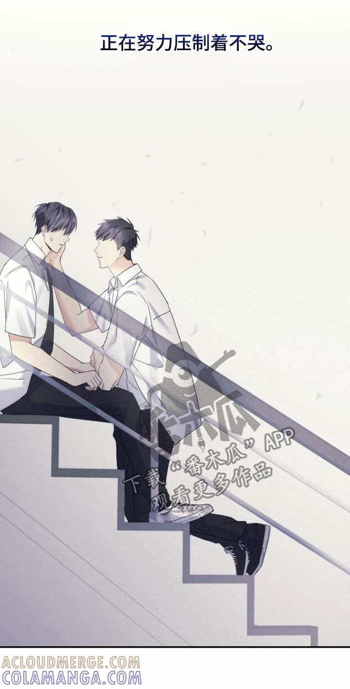 《追逐繁星》第49章：化解 第21页