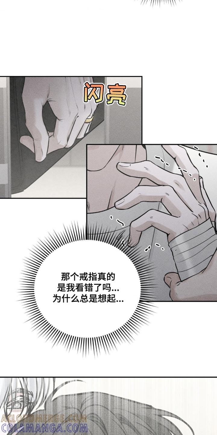 《纯白的假象》第49章：失落 第15页