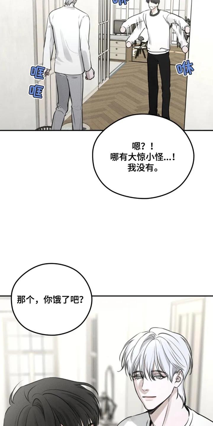 《纯白的假象》第5章：围墙 第8页