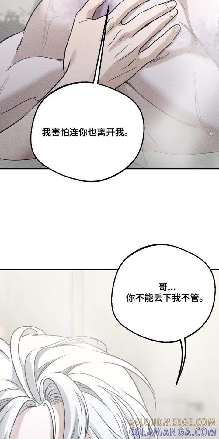 《纯白的假象》第50章：我好像被拒绝了 第15页