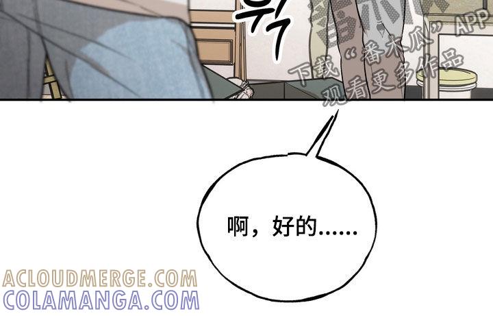 《雕刻爱你形状》第52章：信用卡冻结 第13页
