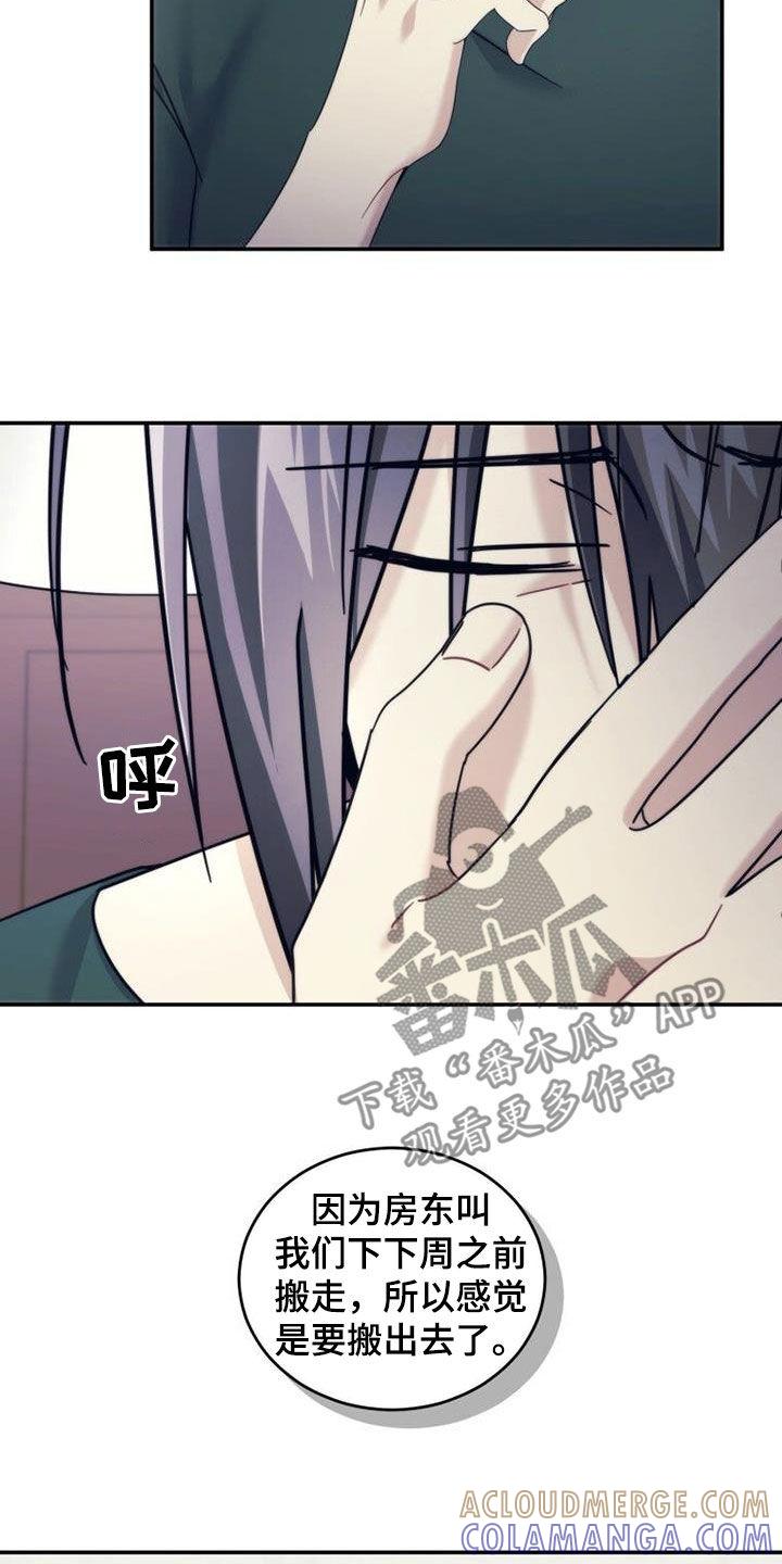 《追逐繁星》第53章：期待明年 第19页