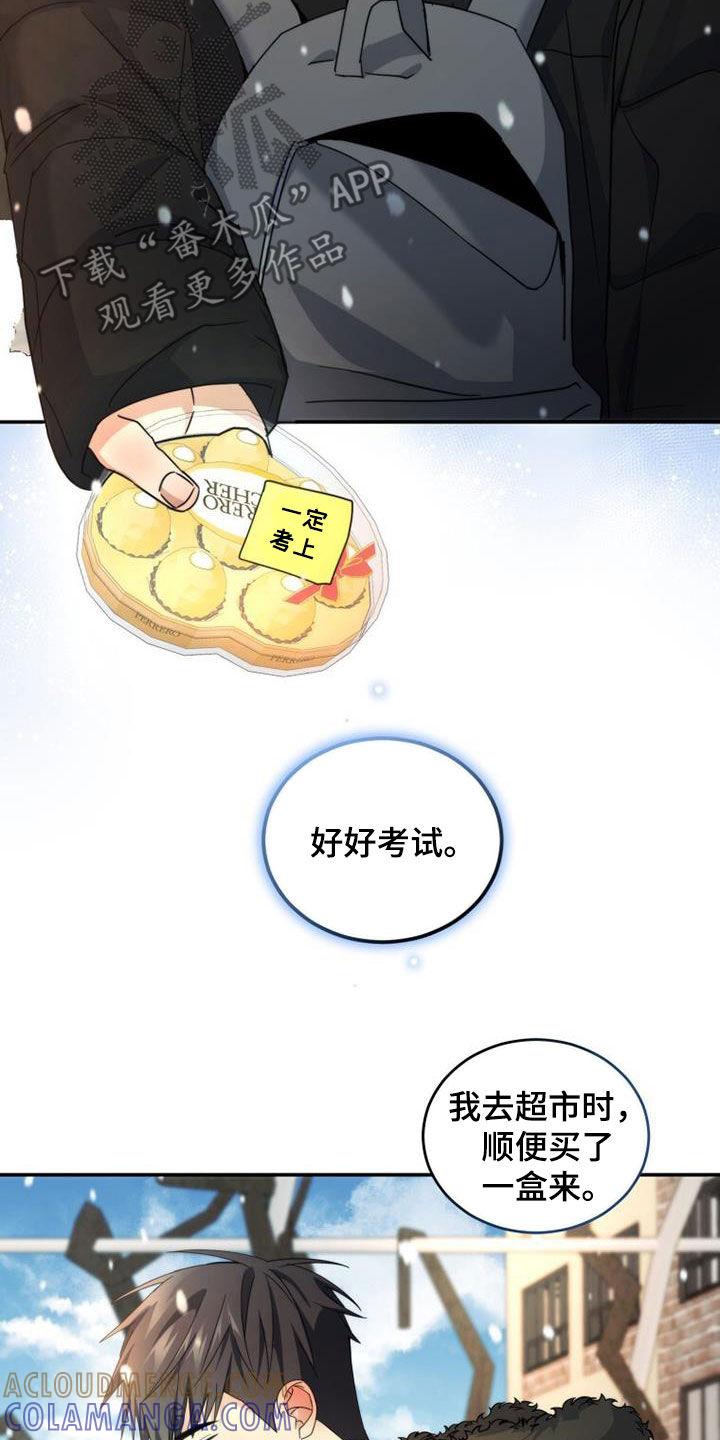 《追逐繁星》第56章：高考 第17页