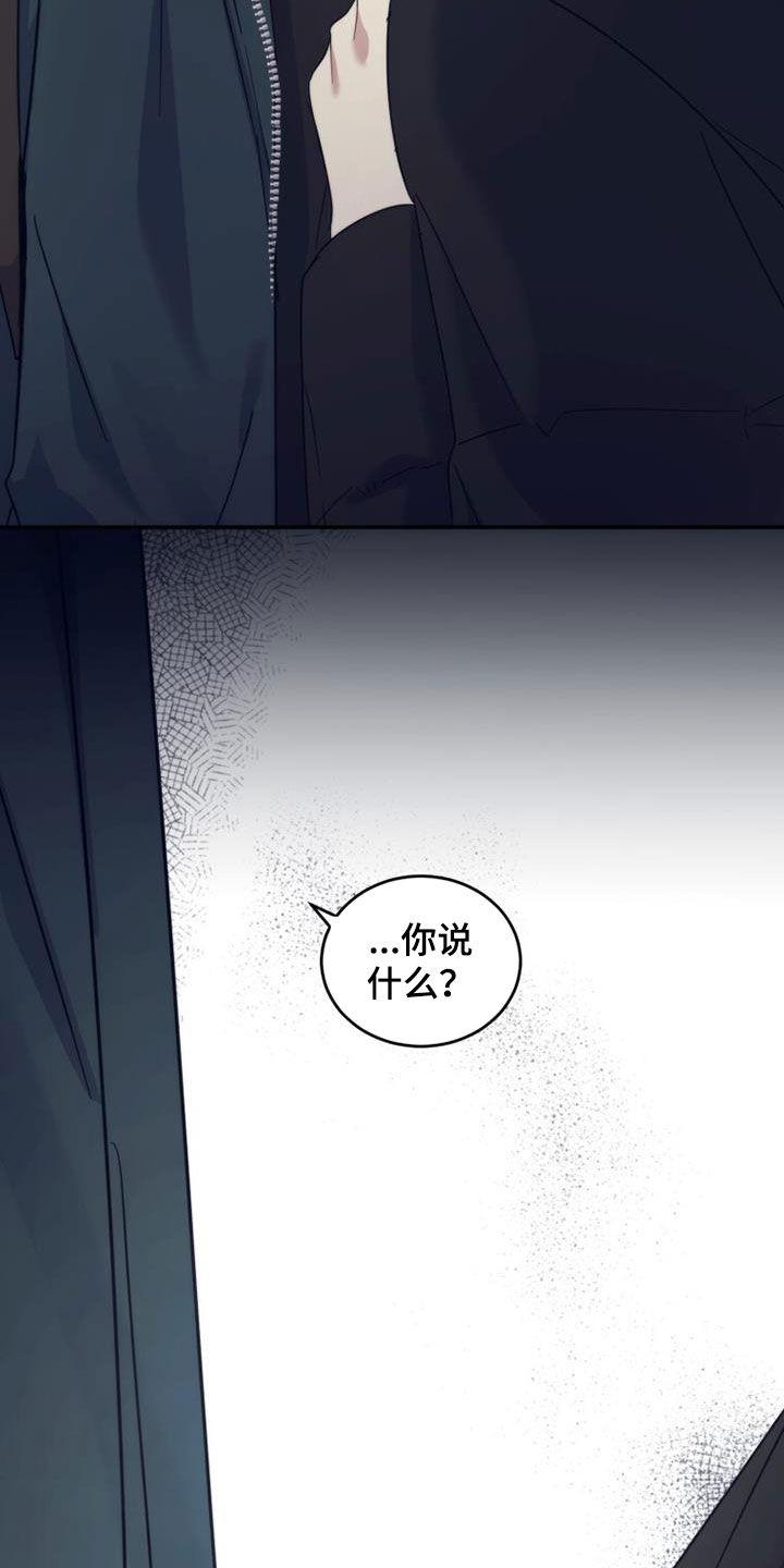 《追逐繁星》第60章：不用再见面 第4页