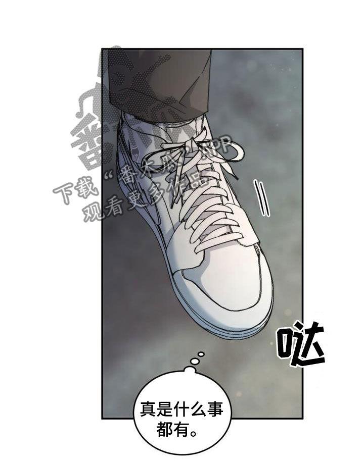 《追逐繁星》第61章：整理心情 第22页