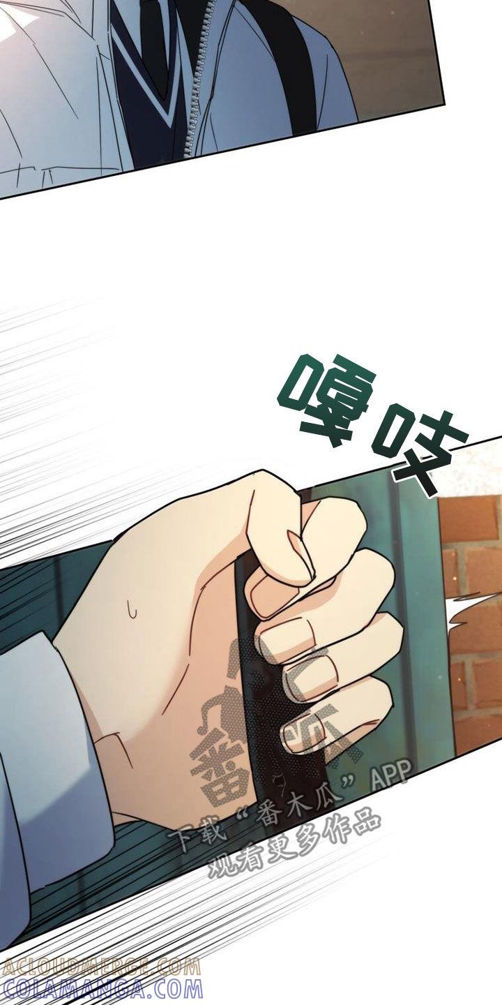 《追逐繁星》第62章：是好事吗 第11页