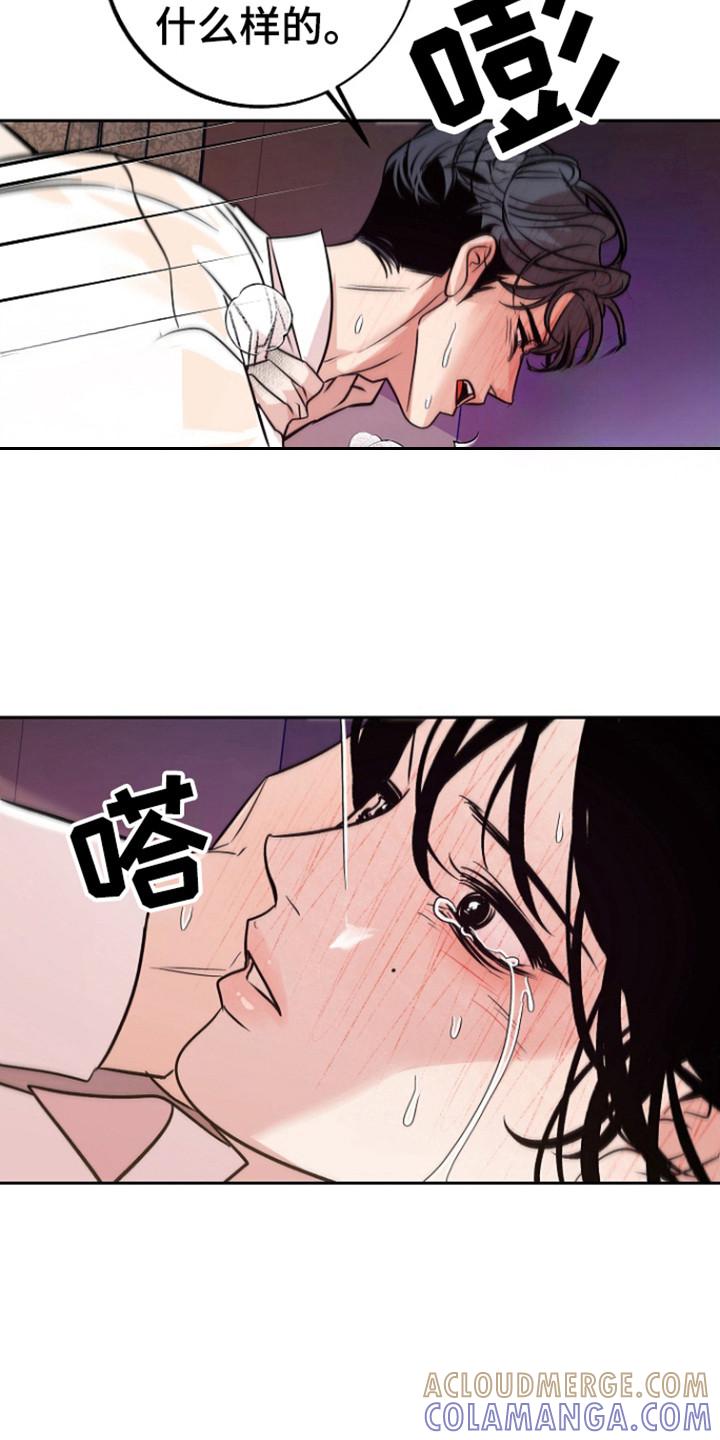 《独占预谋》第64章：【第二季】不是牛郎 第13页