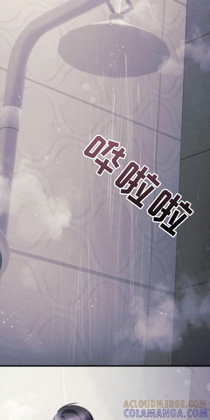 《追逐繁星》第65章：相遇（第一季完结） 第3页