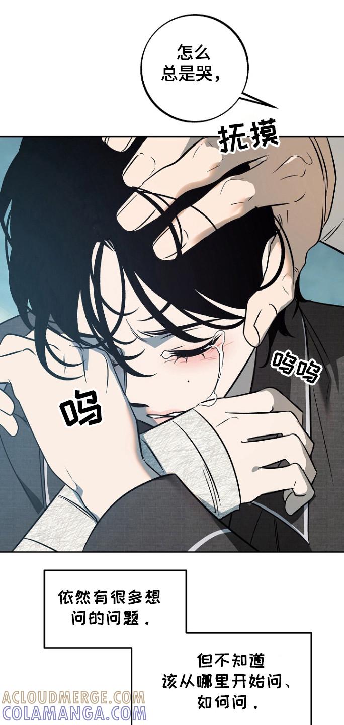 《独占预谋》第79章：【第二季】什么都没做 第13页