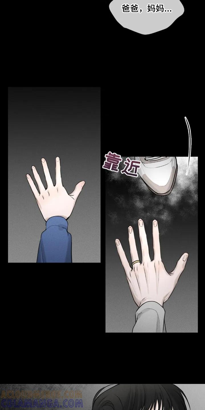《纯白的假象》第8章：噩梦 第11页