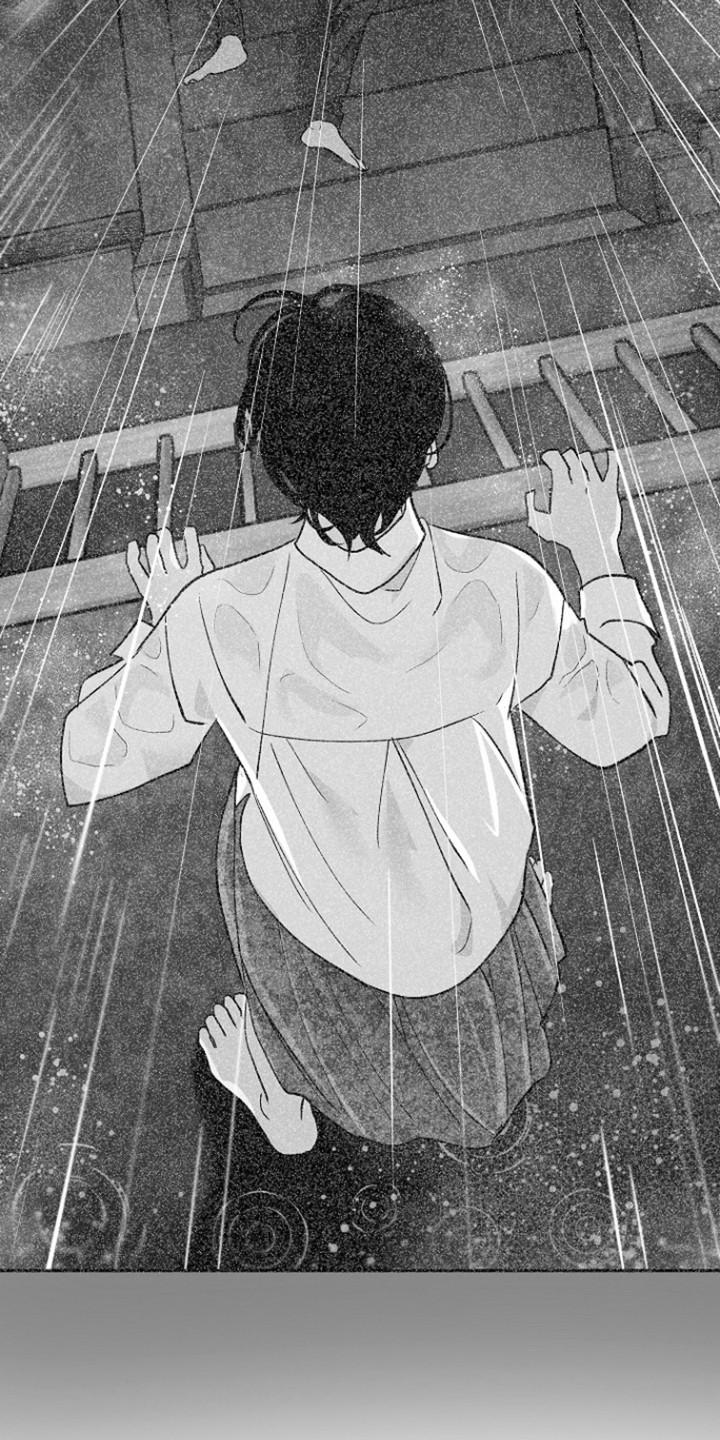 《独占预谋》第82章：【第二季】全部的回忆 第12页