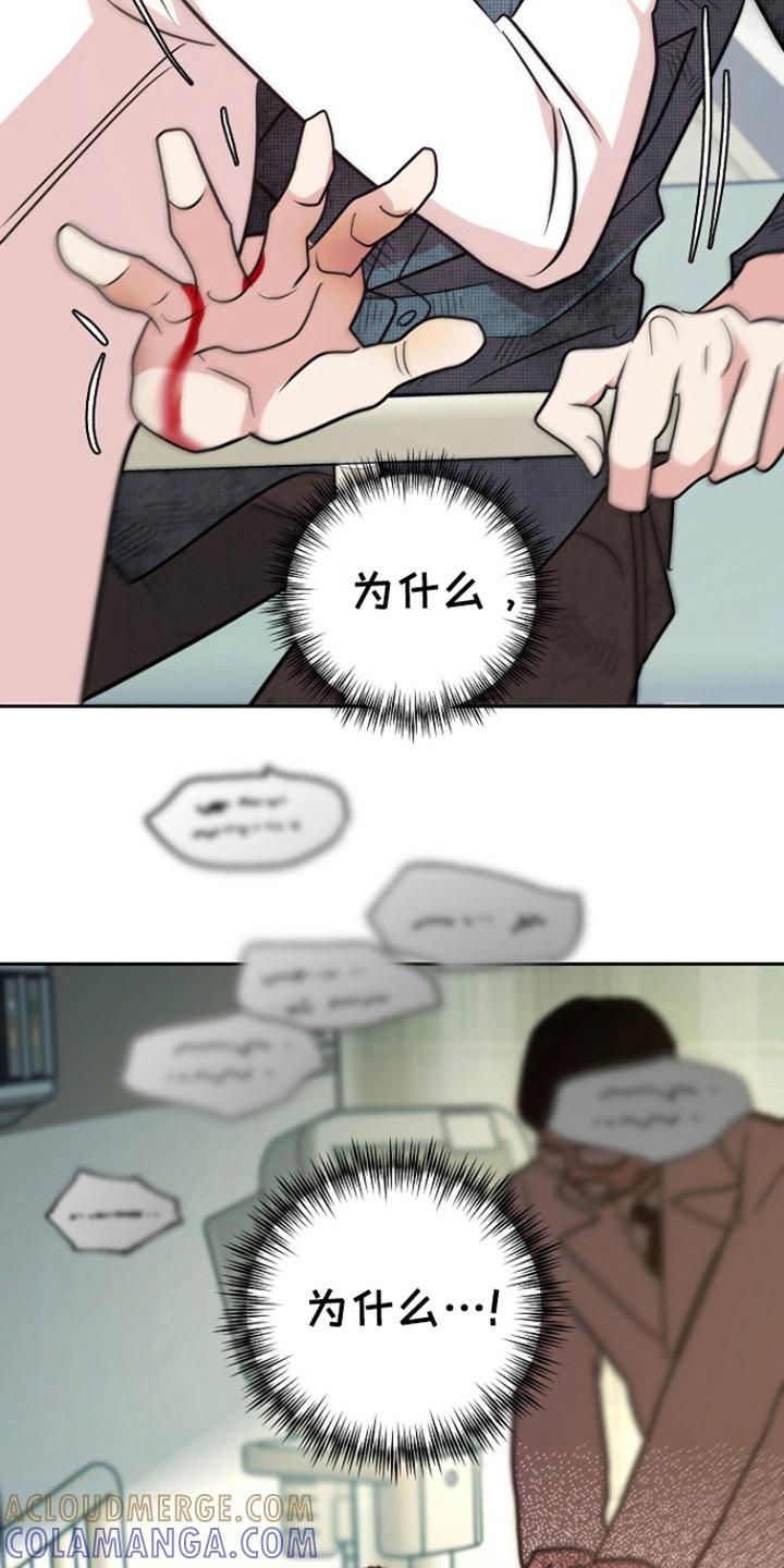 《独占预谋》第90章：【第二季】抢救 第21页