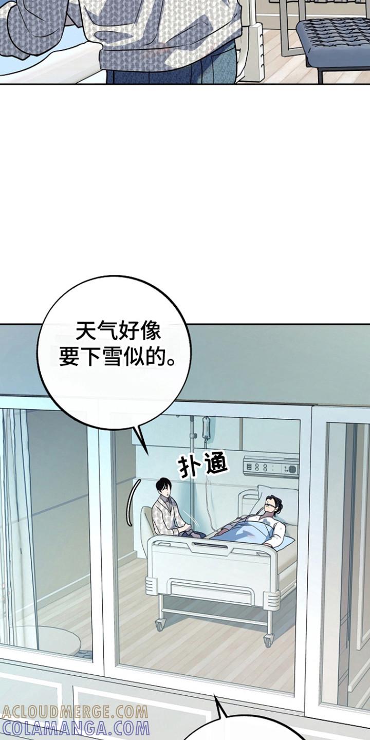 《独占预谋》第91章：【第二季】苏醒 第13页