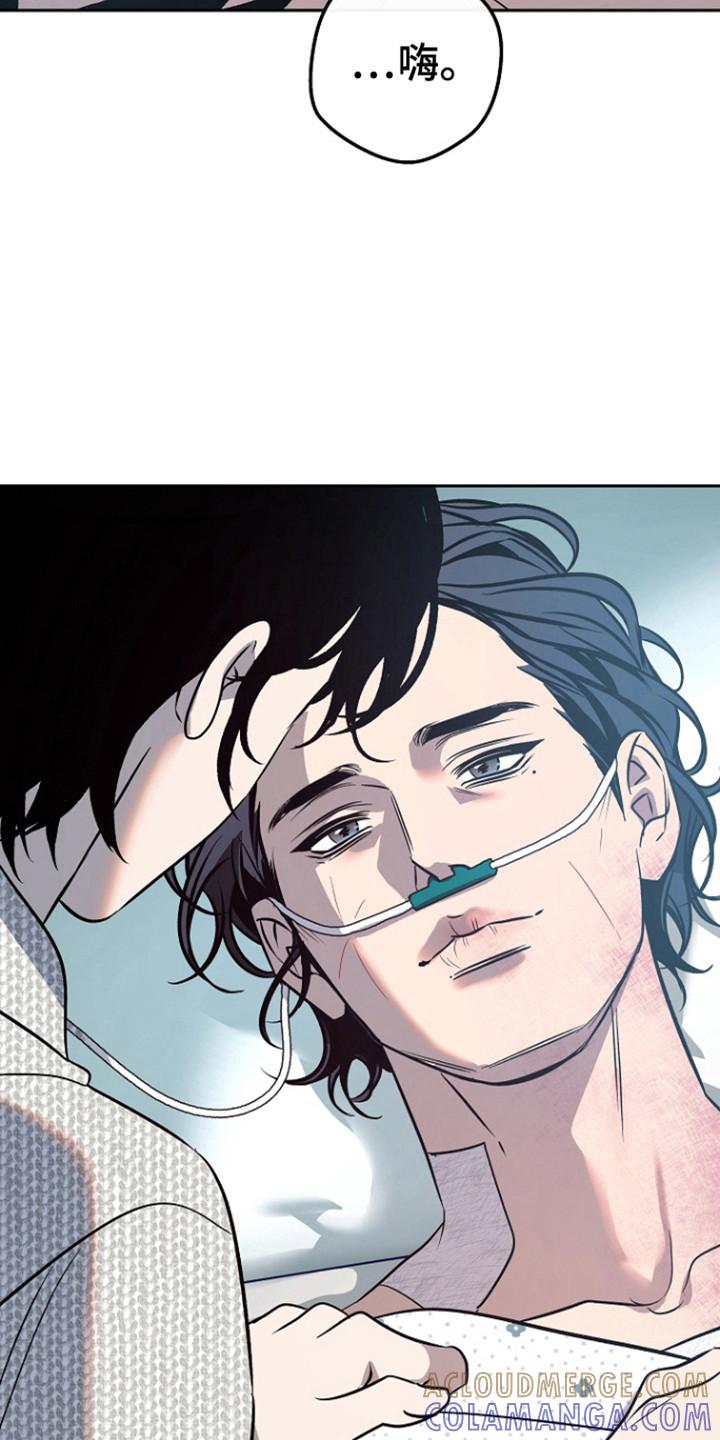 《独占预谋》第91章：【第二季】苏醒 第25页