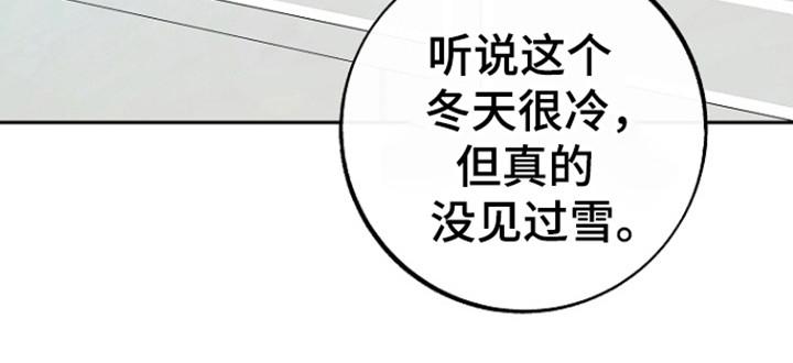 《独占预谋》第91章：【第二季】苏醒 第14页