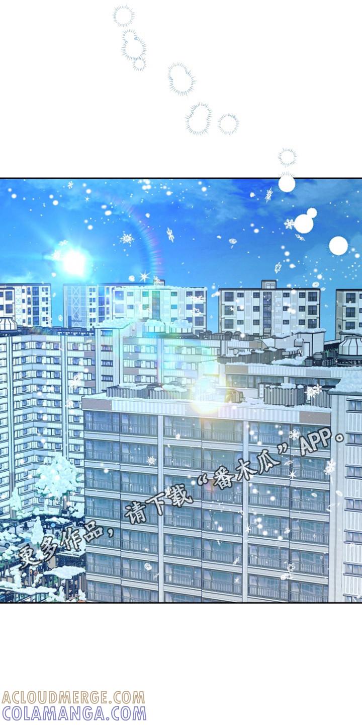 《独占预谋》第97章：【第二季】春天到来 第15页