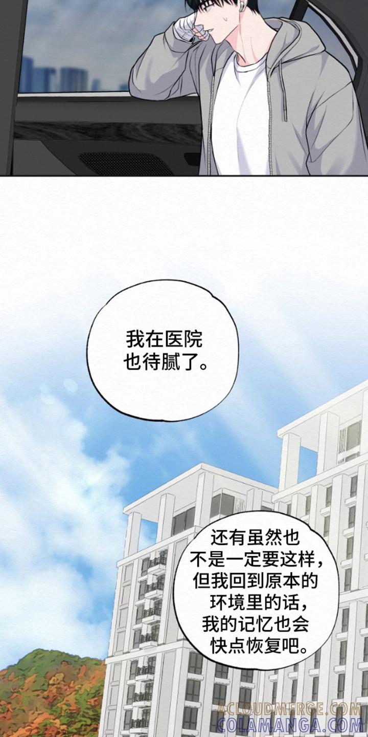 《给记忆添香》第12章：出院 第23页
