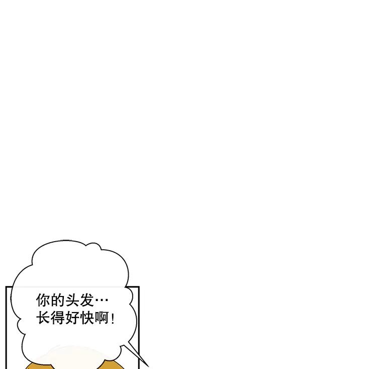 《追逐光的爱恋》15.一通电话 第44页