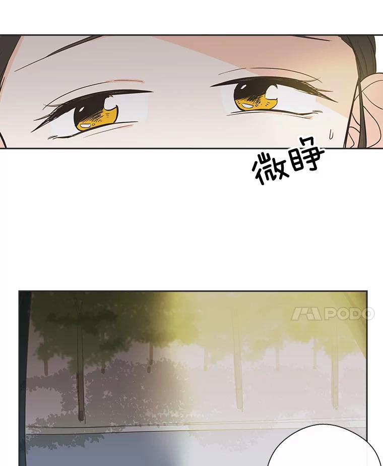 《追逐光的爱恋》17.并不了解的过去 第17页