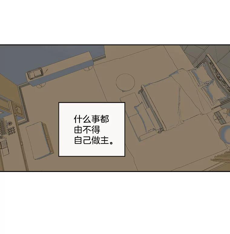《追逐光的爱恋》23.等待 第2页