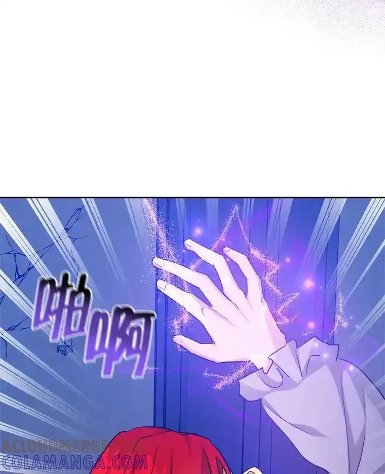 《怕冷的北部大公》55.陷阱 第33页