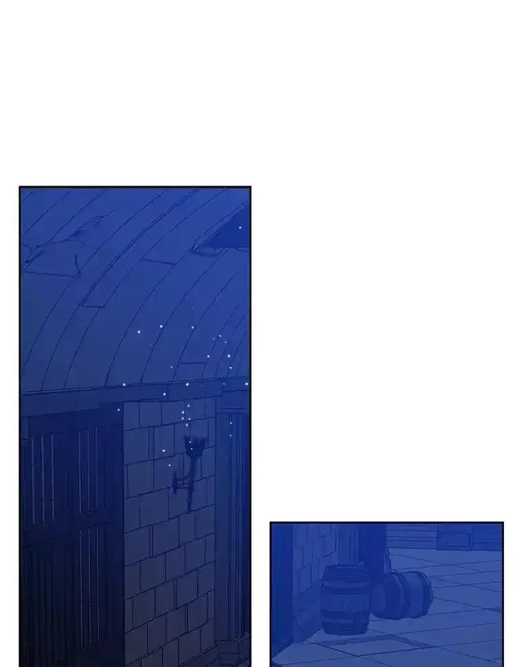 《怕冷的北部大公》56.被抓 第44页
