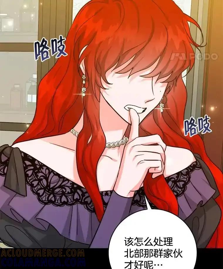 《怕冷的北部大公》58.恢复和平 第29页