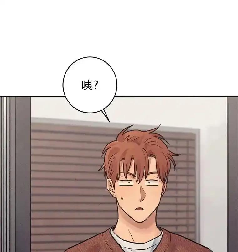 《幻像缉凶》68.新的大案件 第62页