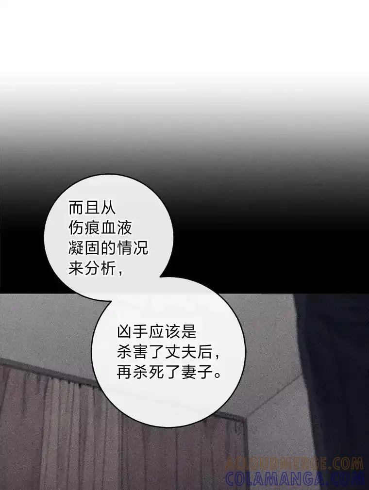 《幻像缉凶》68.新的大案件 第29页