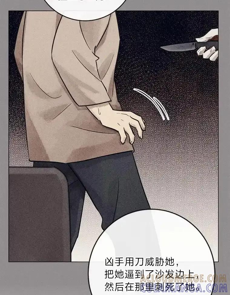 《幻像缉凶》69.分析会议 第33页