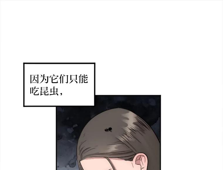 《人间市场》8.捕虫草与裙撑 第52页