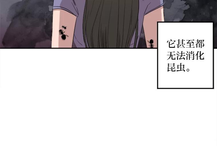 《人间市场》8.捕虫草与裙撑 第55页