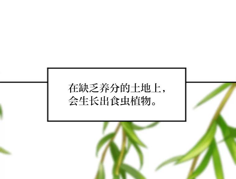 《人间市场》8.捕虫草与裙撑 第50页