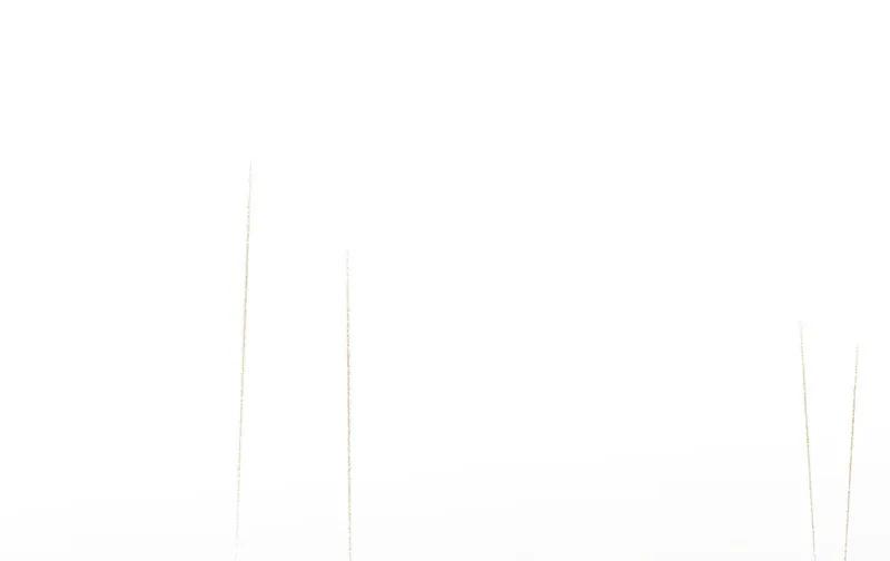 春江花月 - 094 共骑 - 第36张图