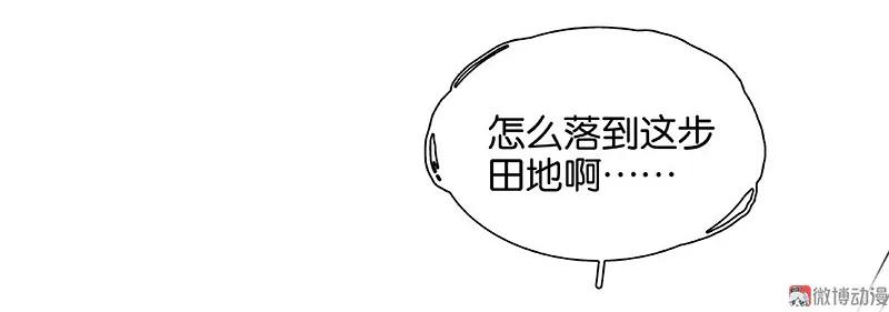 春江花月 - 102 炎黄内战 - 第7张图