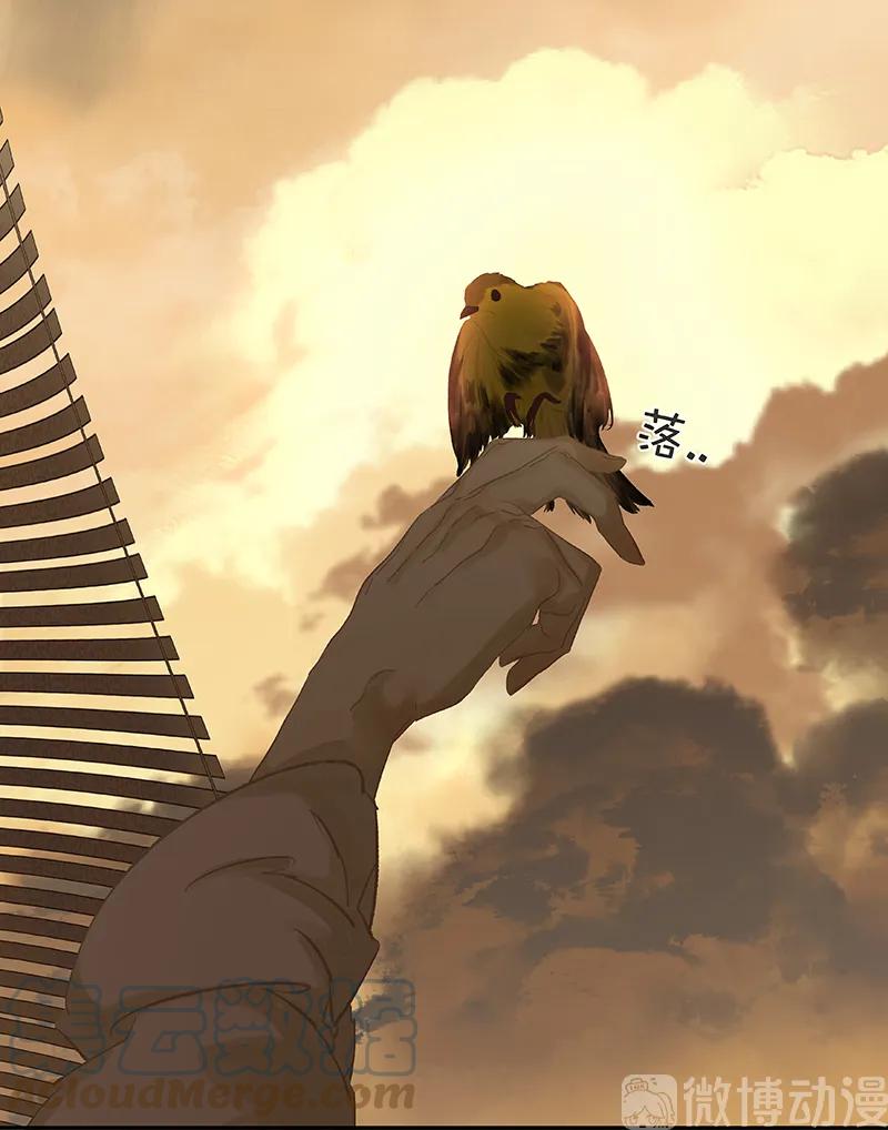 春江花月 - 117 王者归来 - 第45张图