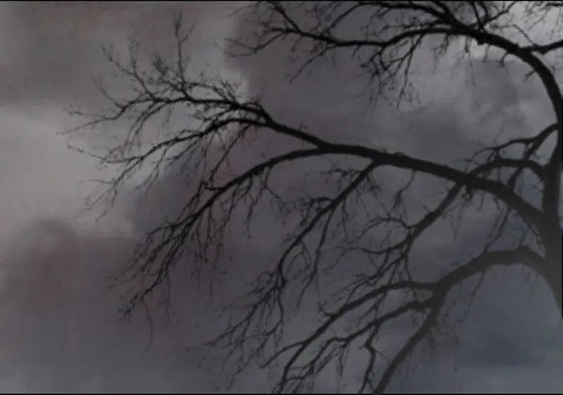 春江花月 - 143 大夫人（上） - 第20张图