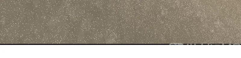 春江花月 - 144 大夫人（下） - 第65张图