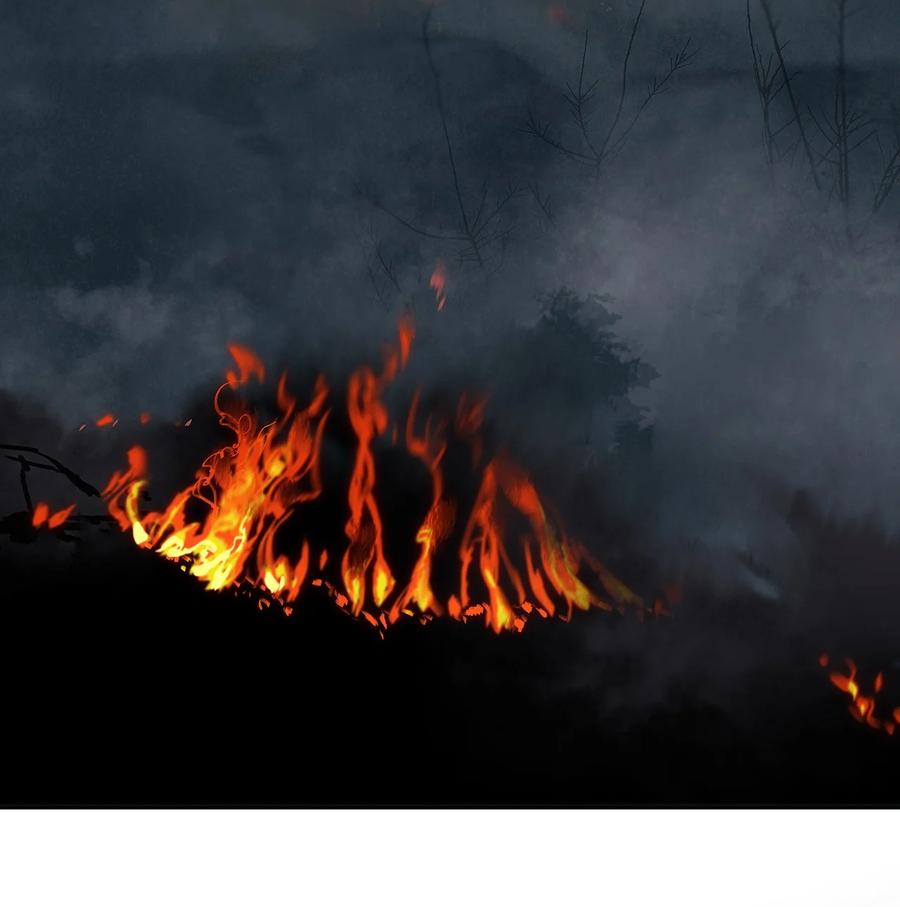 春江花月 - 151 柳暗花明 - 第86张图