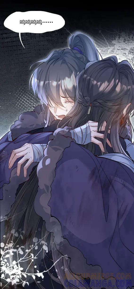 《乱世为王》135 满江红·惊觉 第43页
