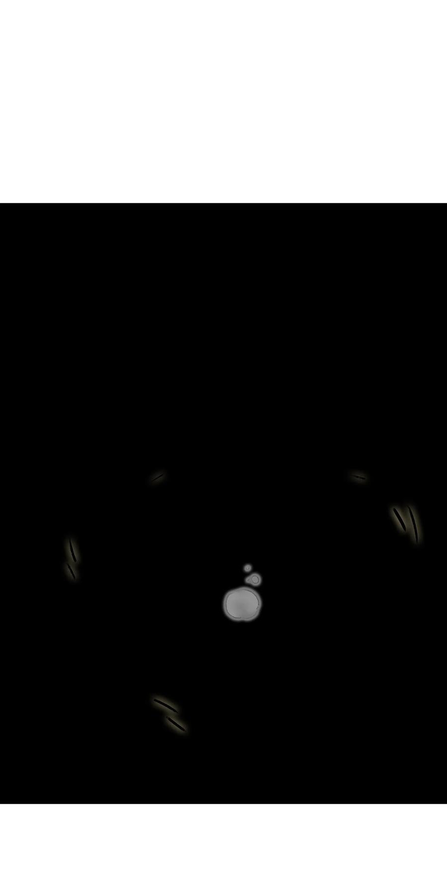 春江花月 - 193 春宵一刻值千金 - 第5张图