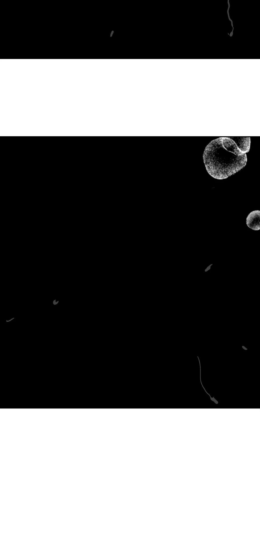 春江花月 - 226 洞房残夜 - 第12张图