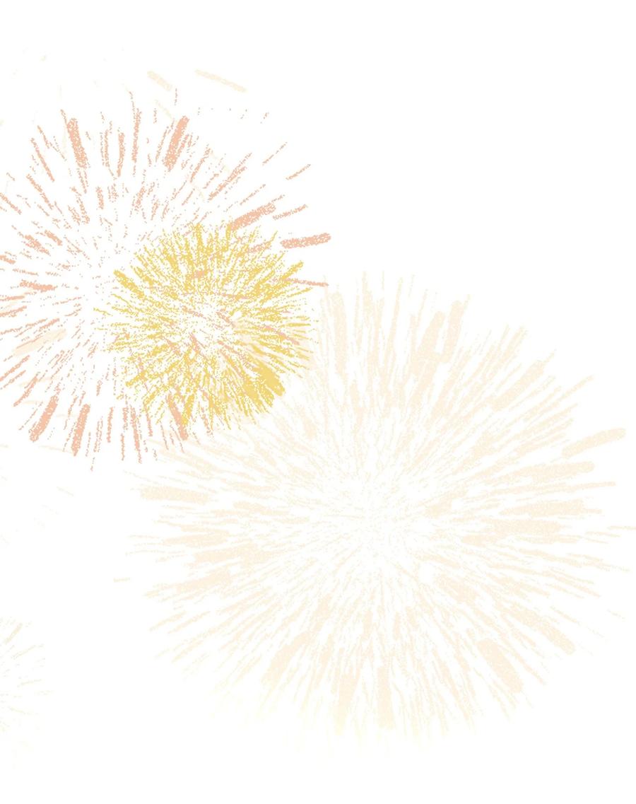 春江花月 - 241 在有大雁和烟花的晴空下 - 第59张图