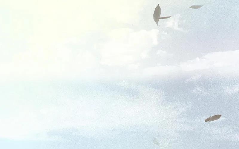 春江花月 - 040 当头一棒 - 第29张图