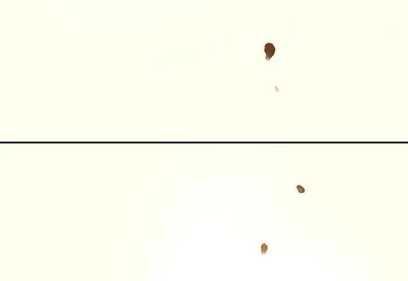 春江花月 - 048 哑巴小姑娘 - 第9张图