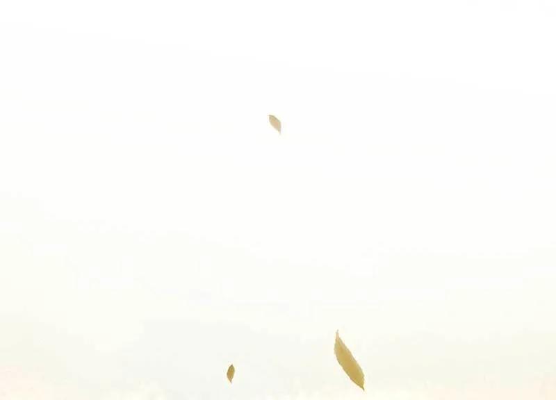 春江花月 - 085 花将军的疮 - 第60张图