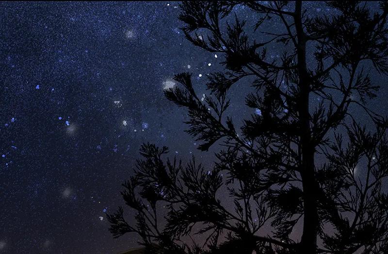 春江花月 - 088 借力打力 - 第34张图